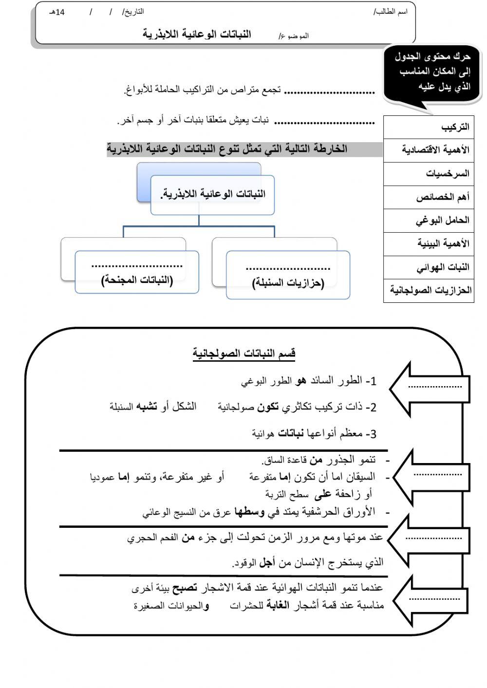 ورقة 3تفاعلية3