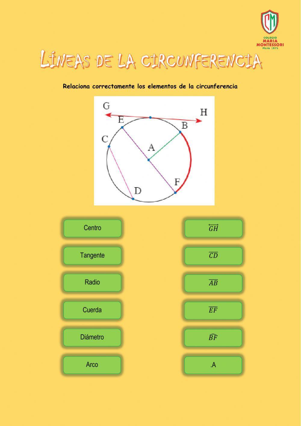 Líneas de la circunferencia