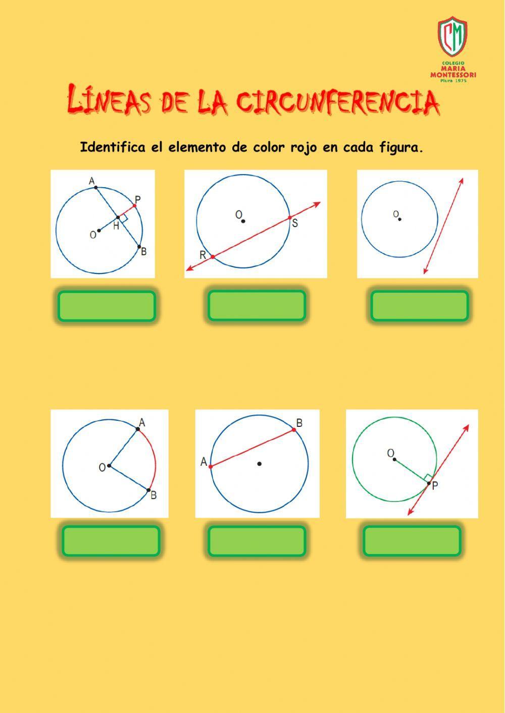 Líneas de la circunferencia 2.0