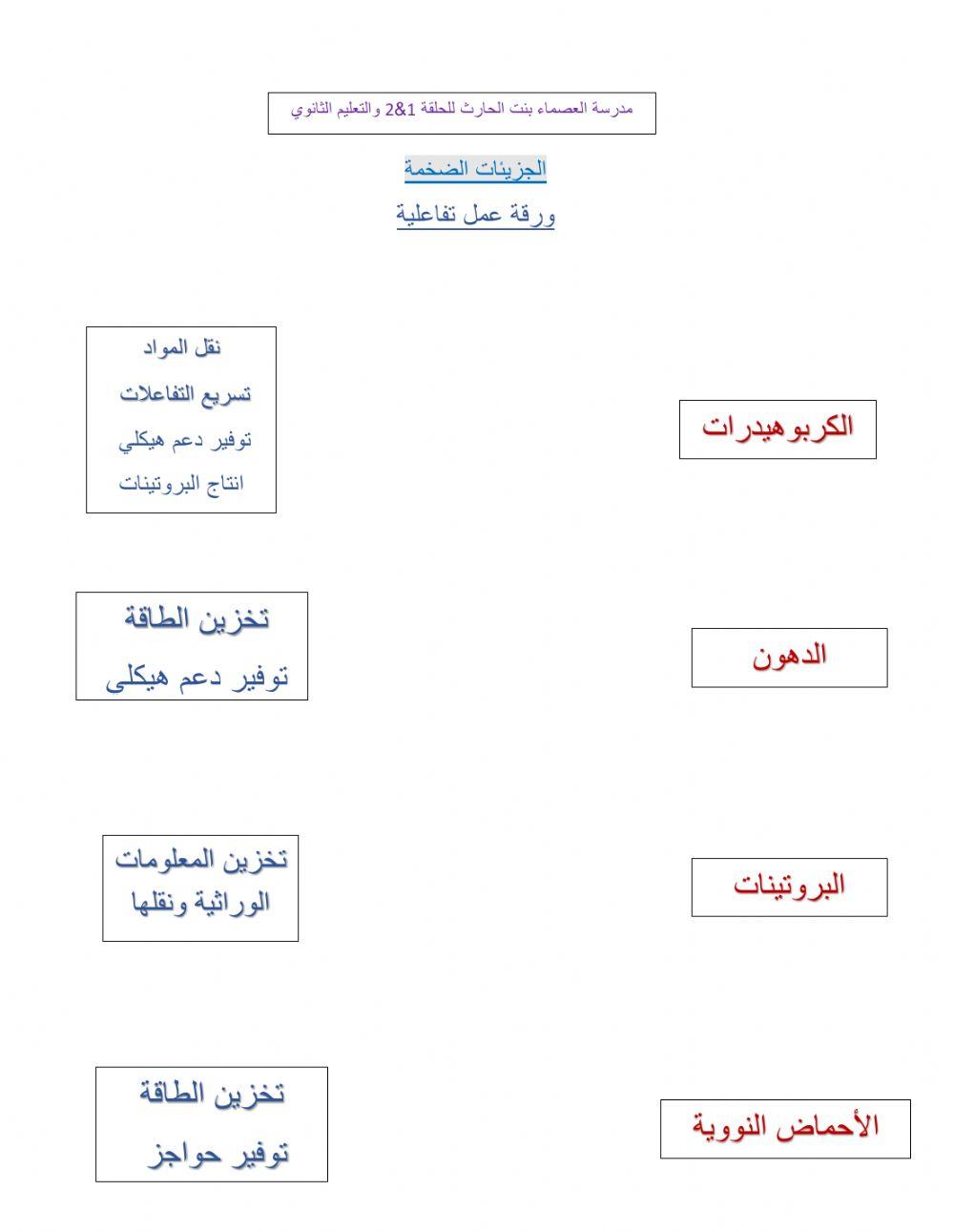 الجزيئات الضخمة