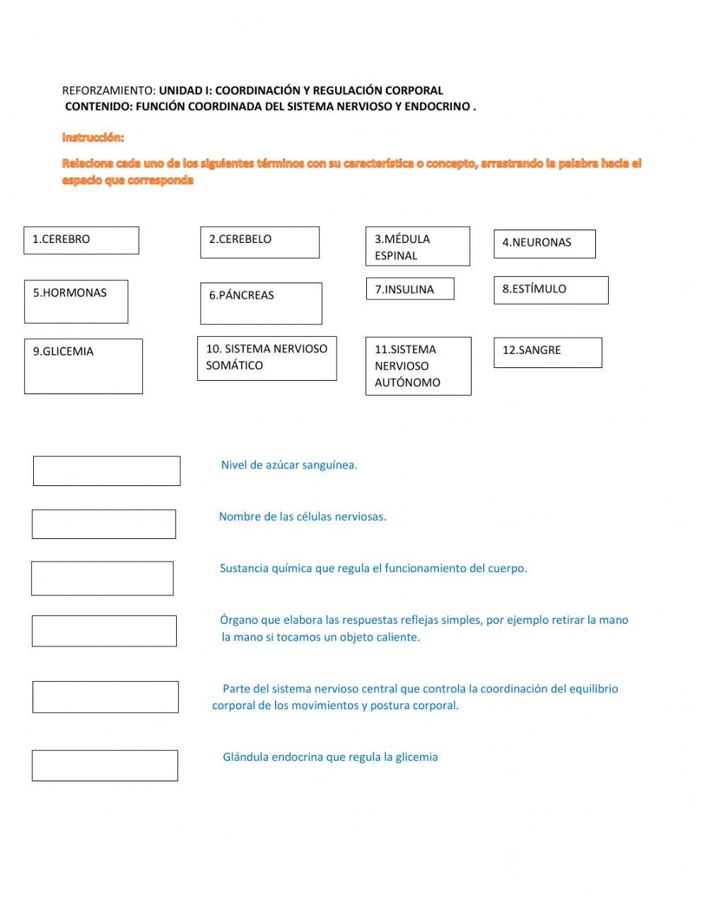 Sistema nervioso y sistema endocrino