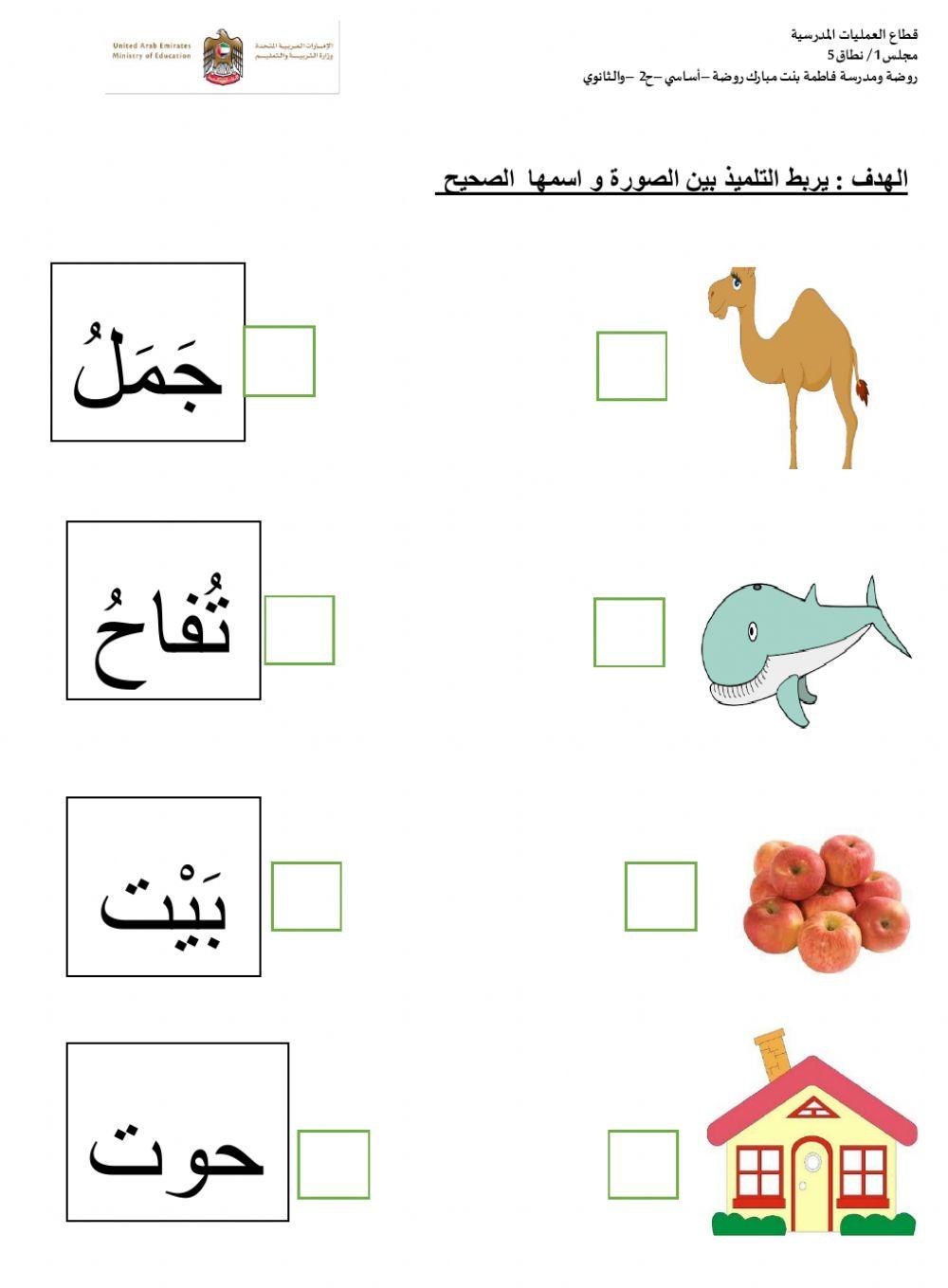 اربط الصورة بالاسم الصحيح