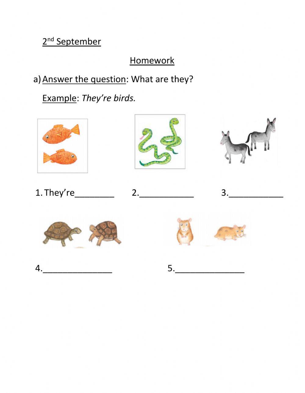 Unit 4 - Lesson 5: Bright Ideas