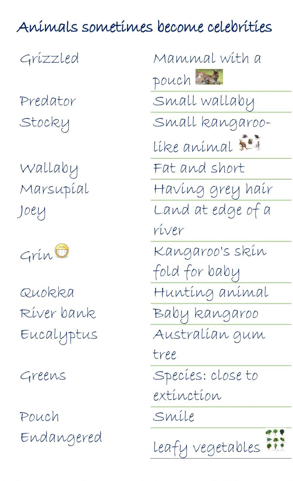 U3.WU1.P31.Vocabulary Quokka