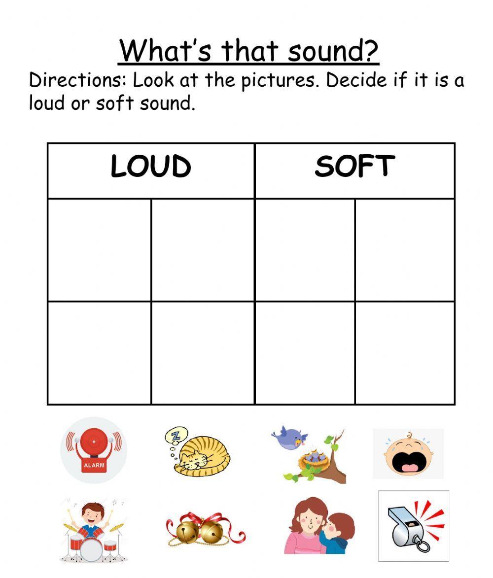 Sense of Hearing: What's that sound?