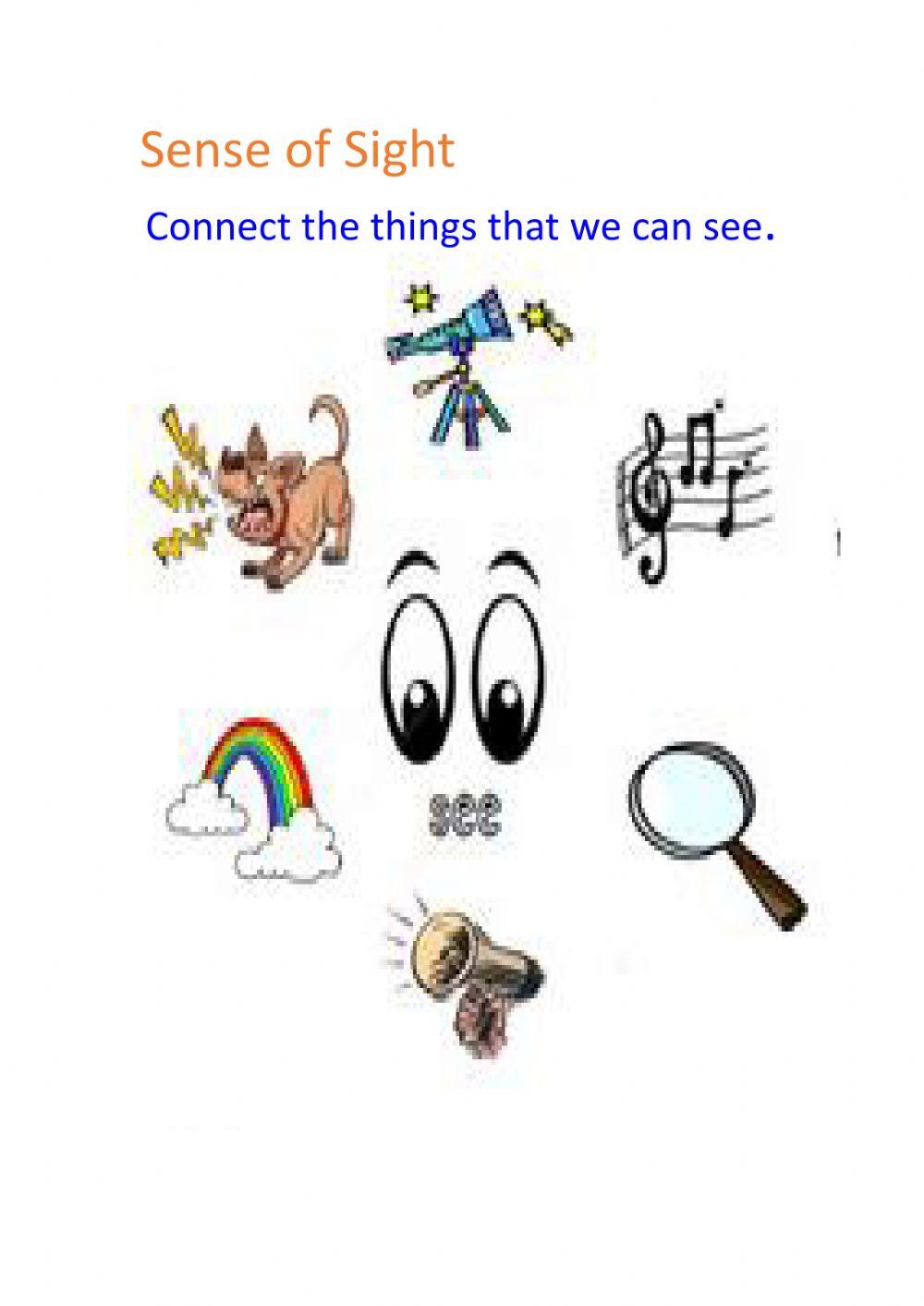 Sense of sight worksheet | Live Worksheets