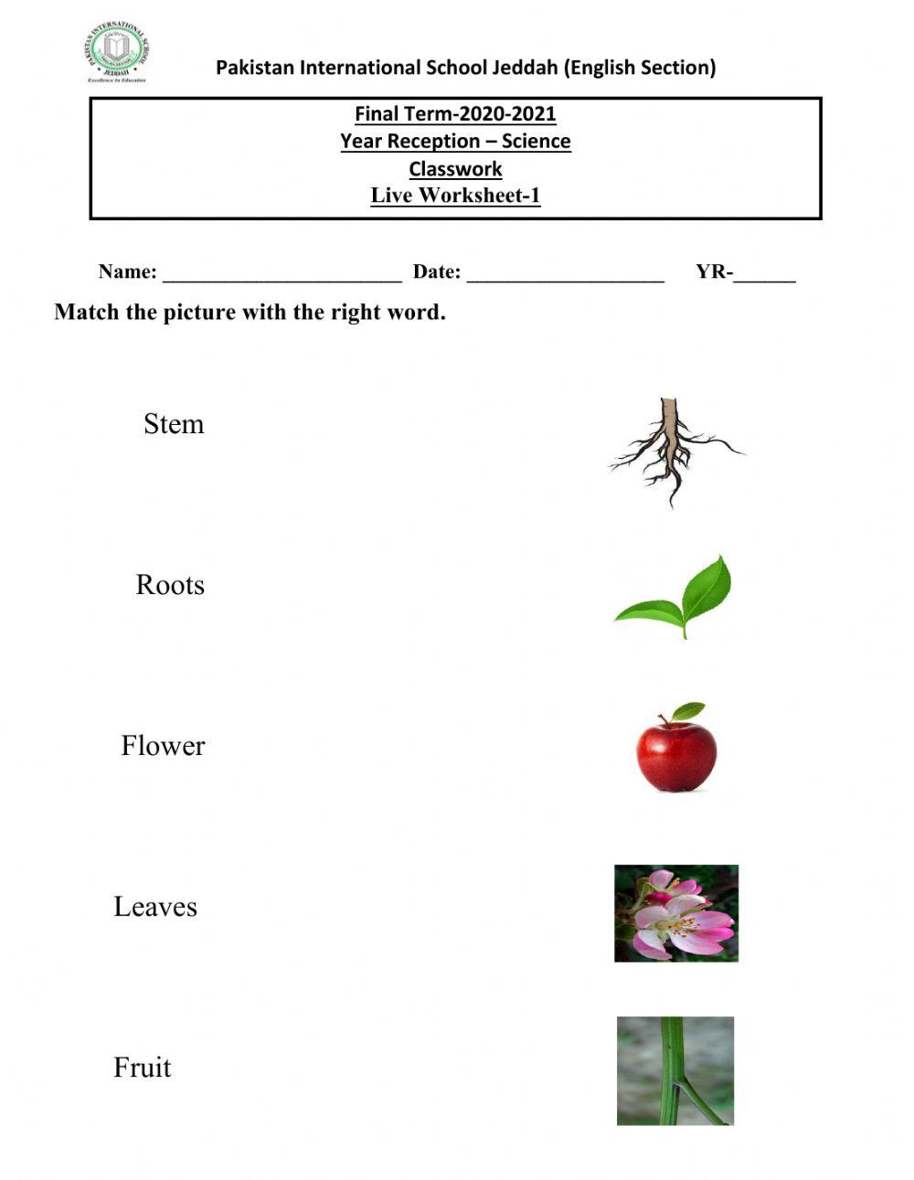 Live worksheet 1