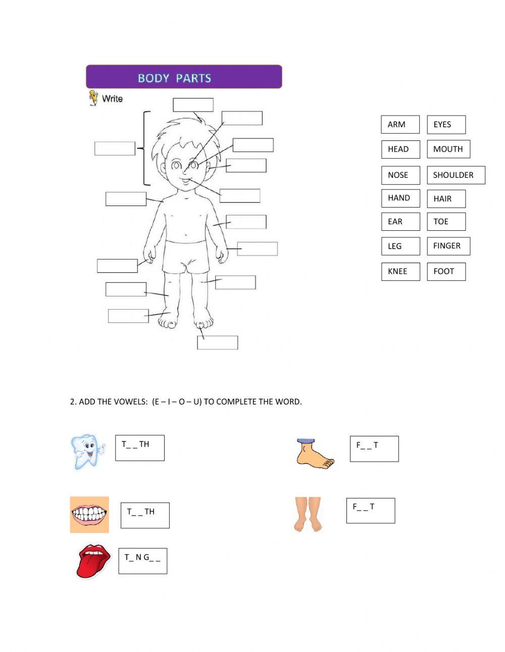 Body parts and senses