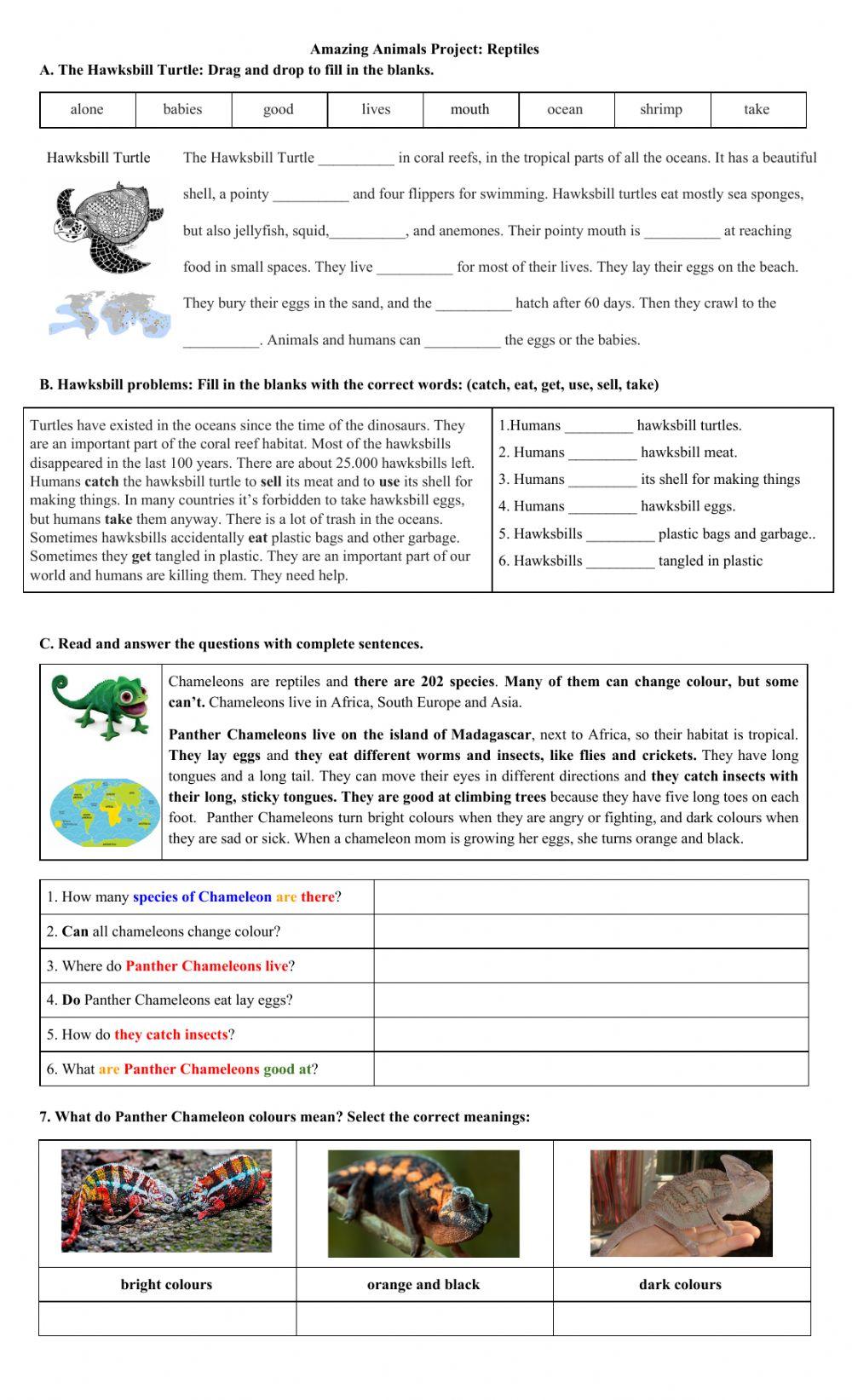 Project: Reptiles worksheet | Live Worksheets