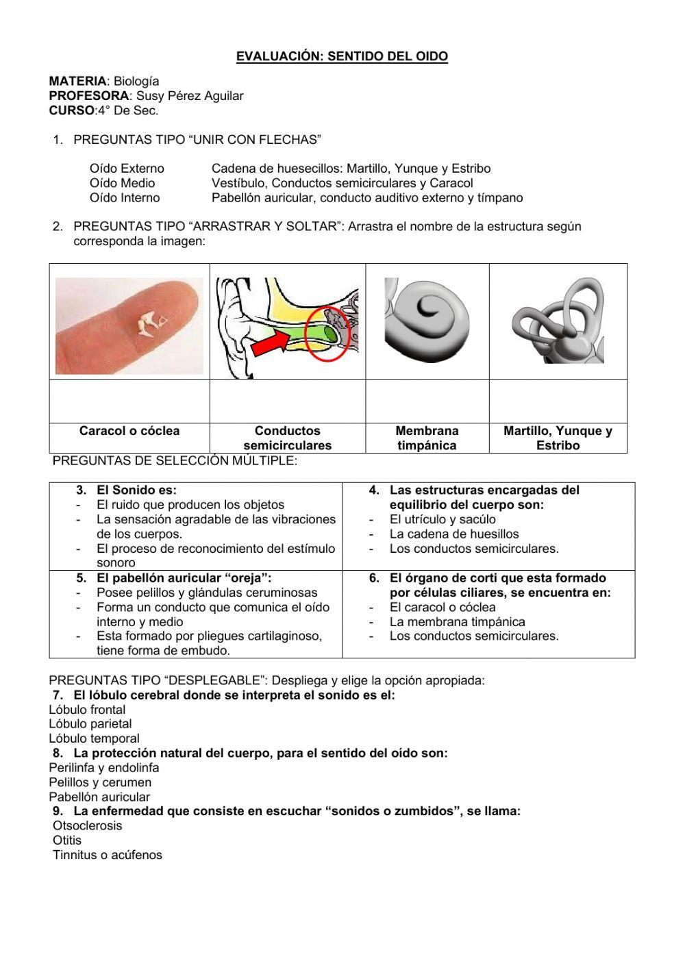 Sentido del oido Sentido del oido