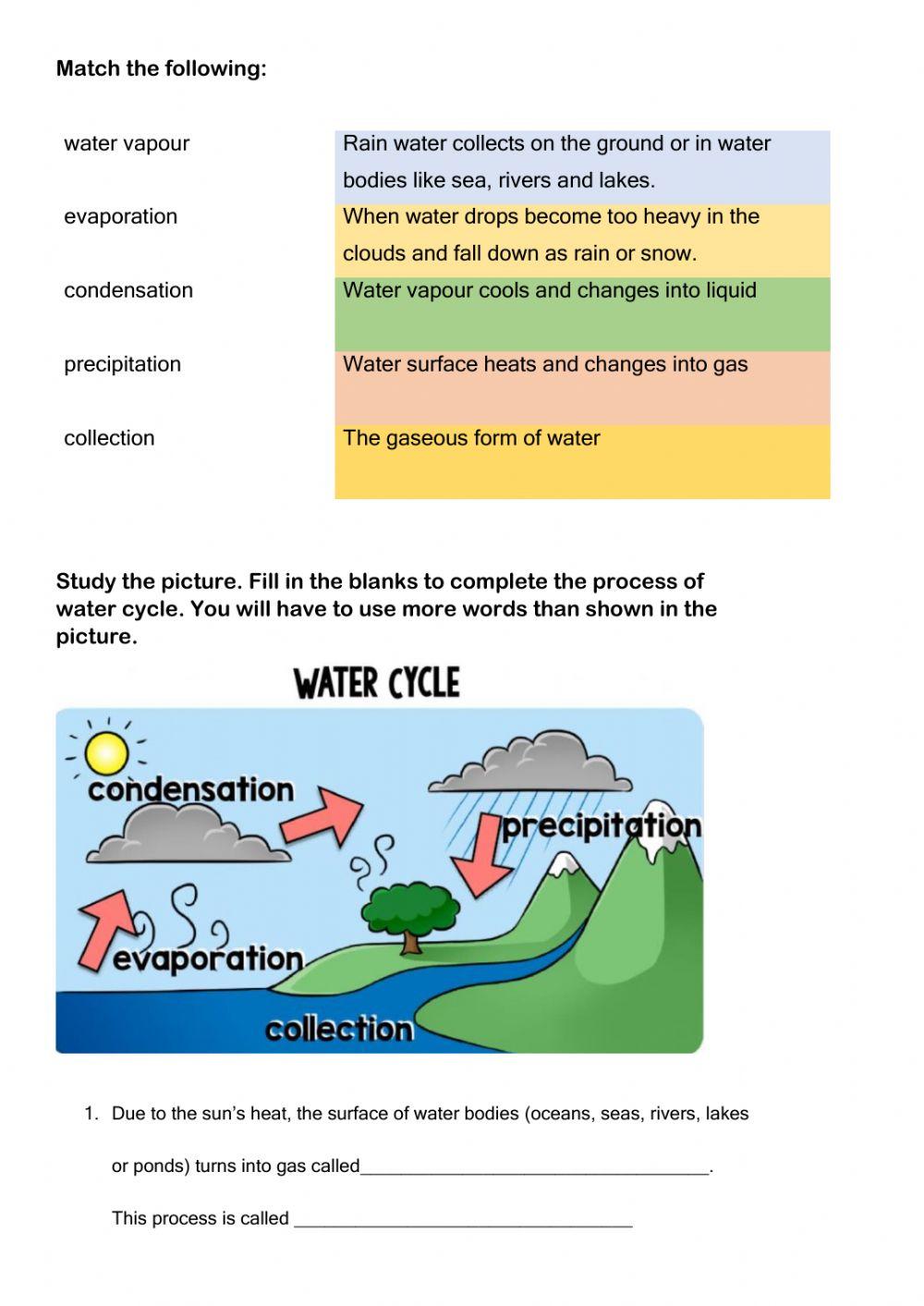 The water cycle