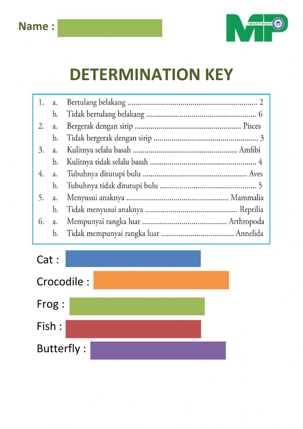Determination Key (kelas 7)