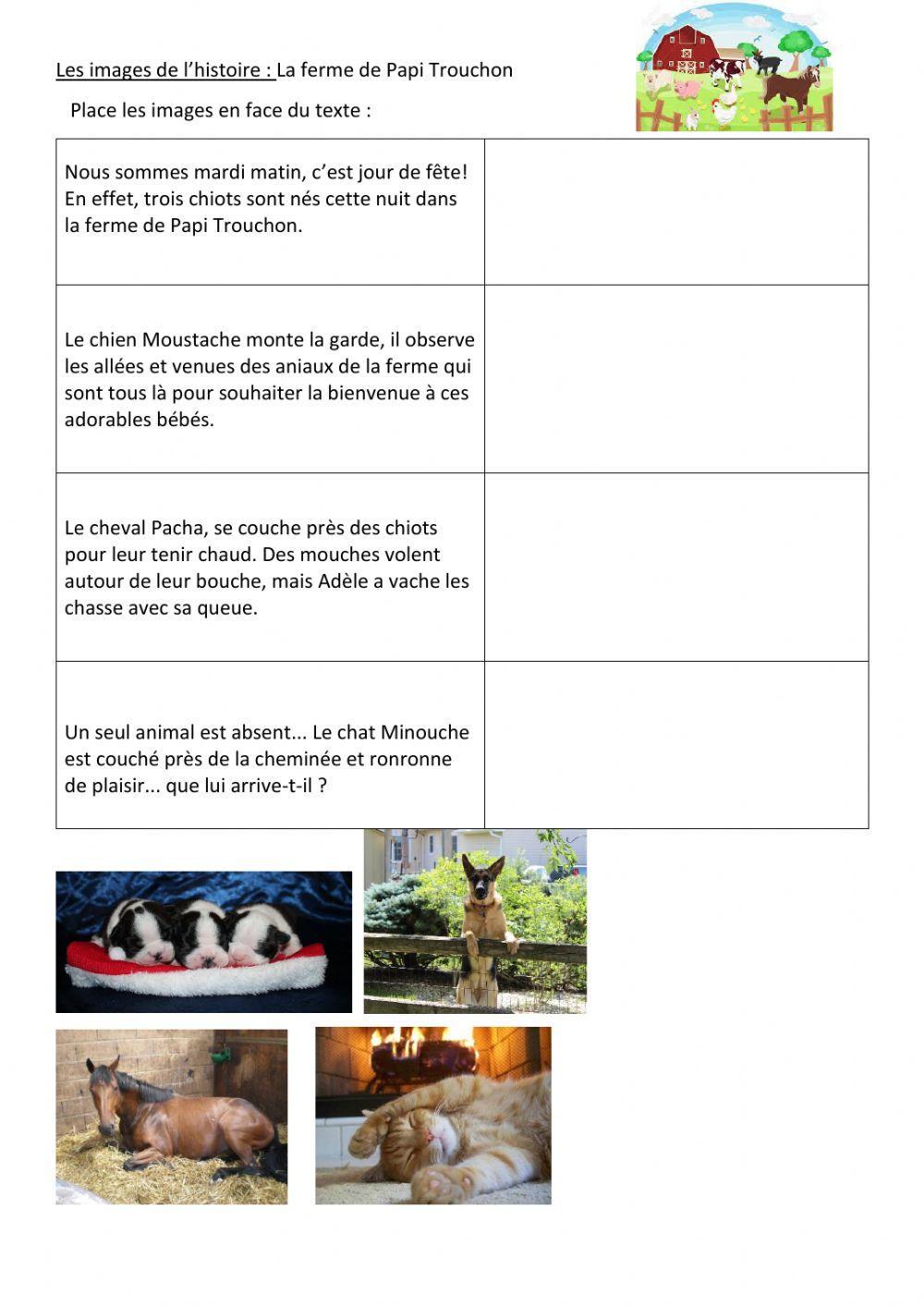 Compréhension : la ferme de papi Truchon