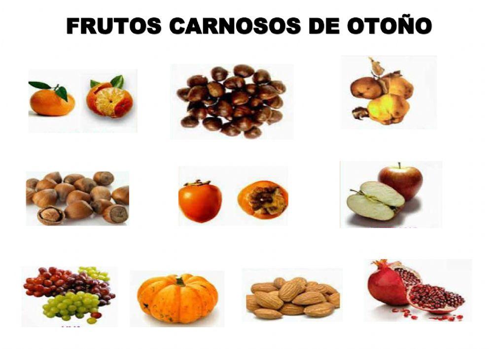 Frutos carnosos de otoño