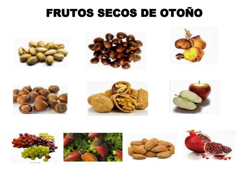 Frutos secos de otoño
