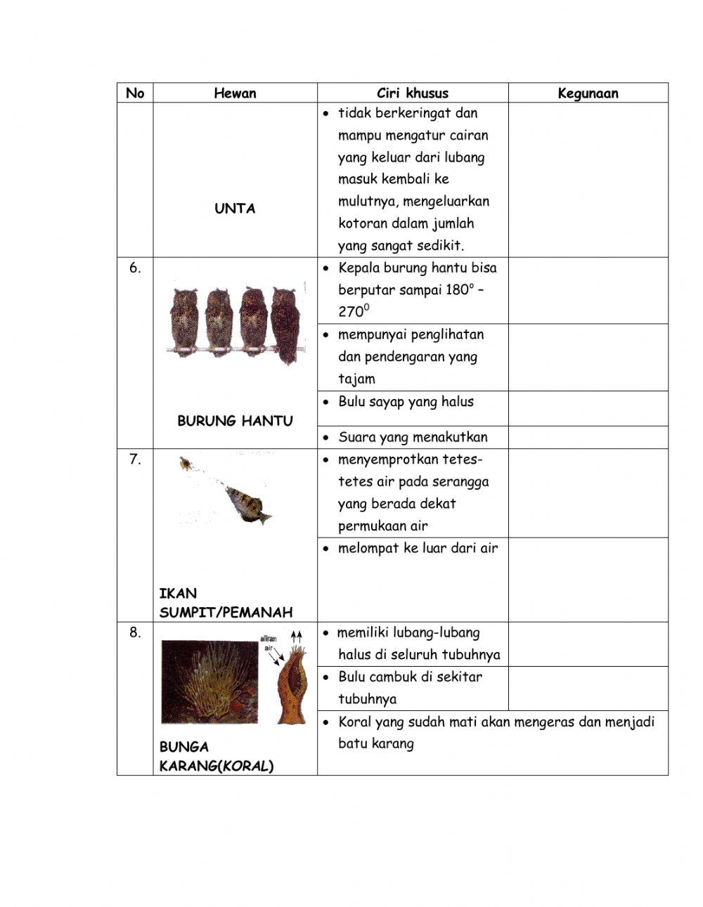 Lks 05 bagian tubuh hewandan fungsinya Lks 05 bagian tubuh hewandan fungsinya