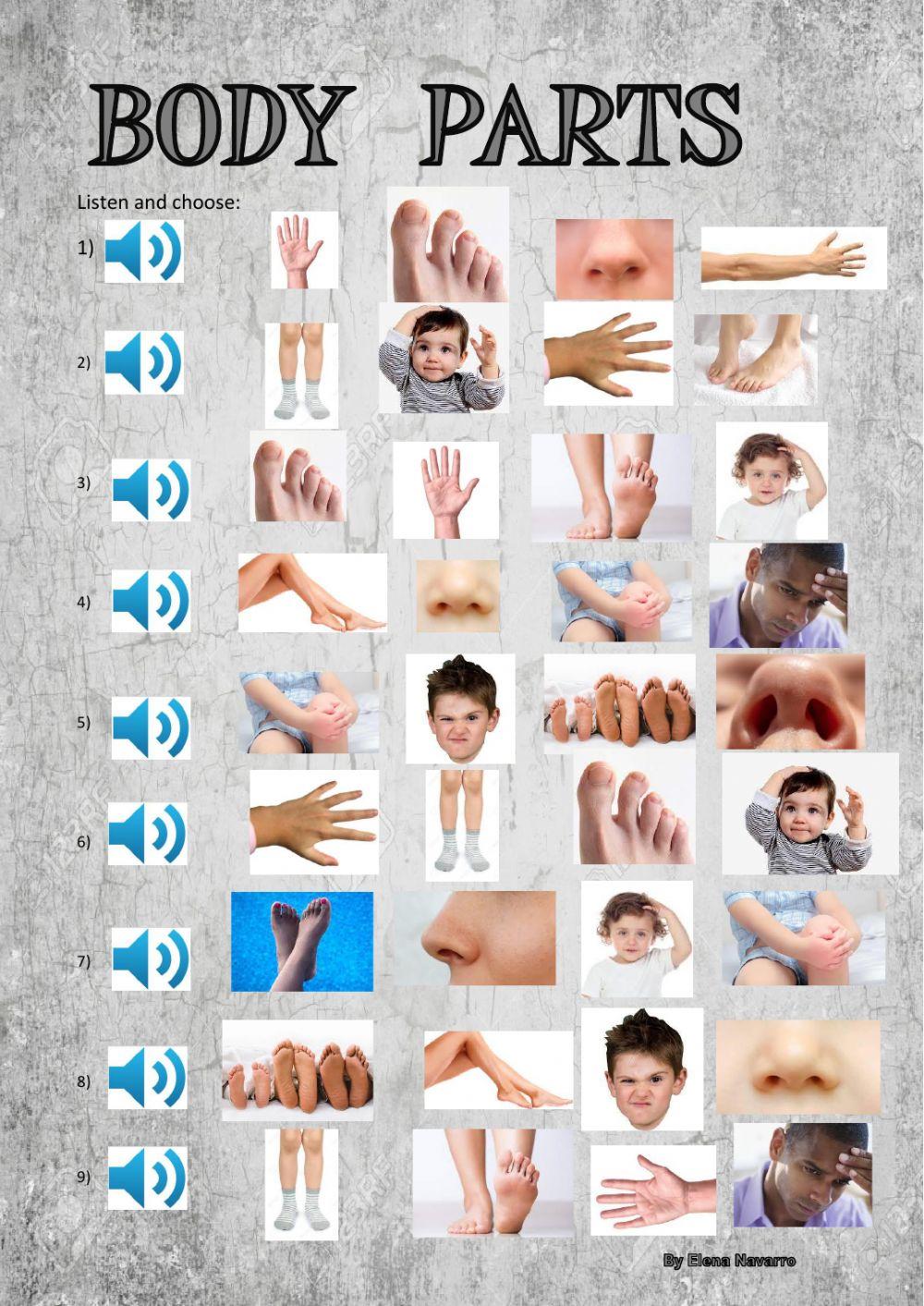 Body parts Body parts