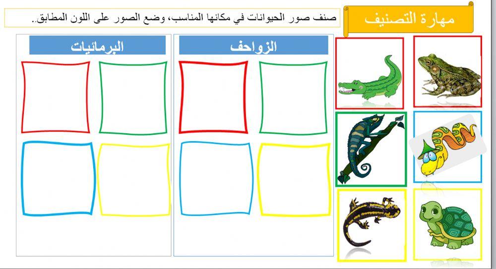 الزواحف و البرمائيات
