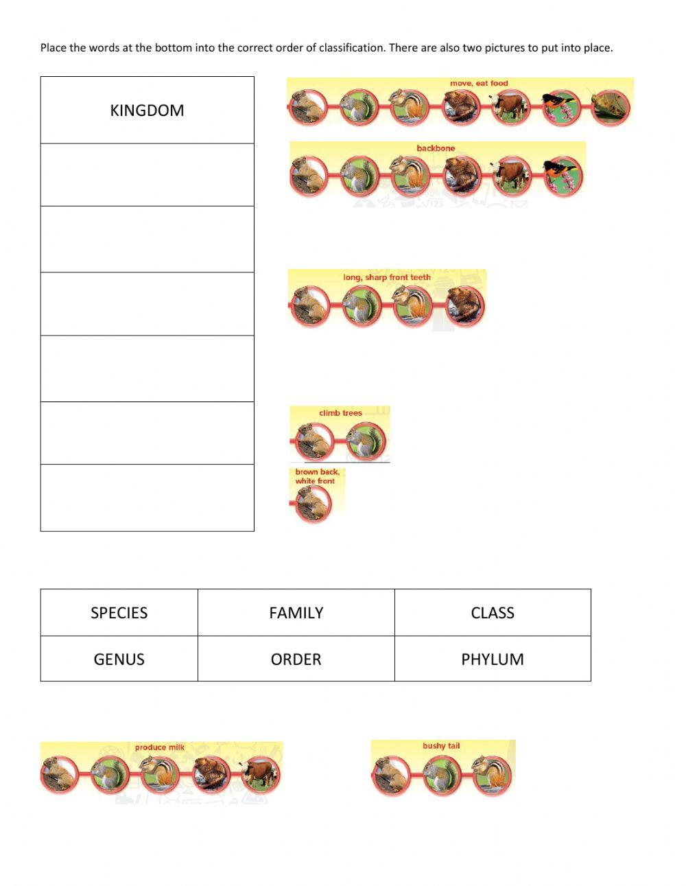 Classification Of Living Things Worksheet