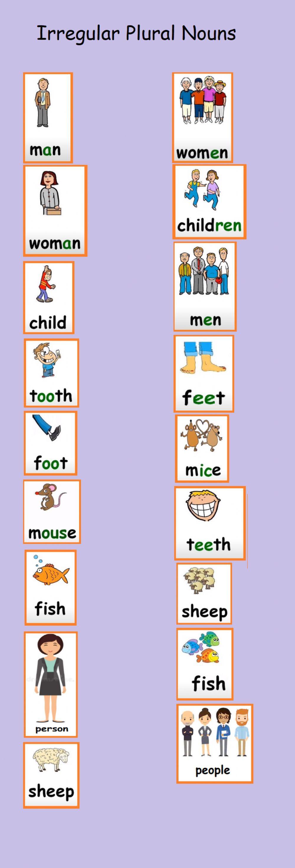 Irregular Plural Nouns