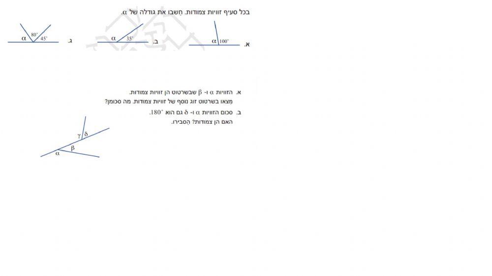 זוויות צמודות