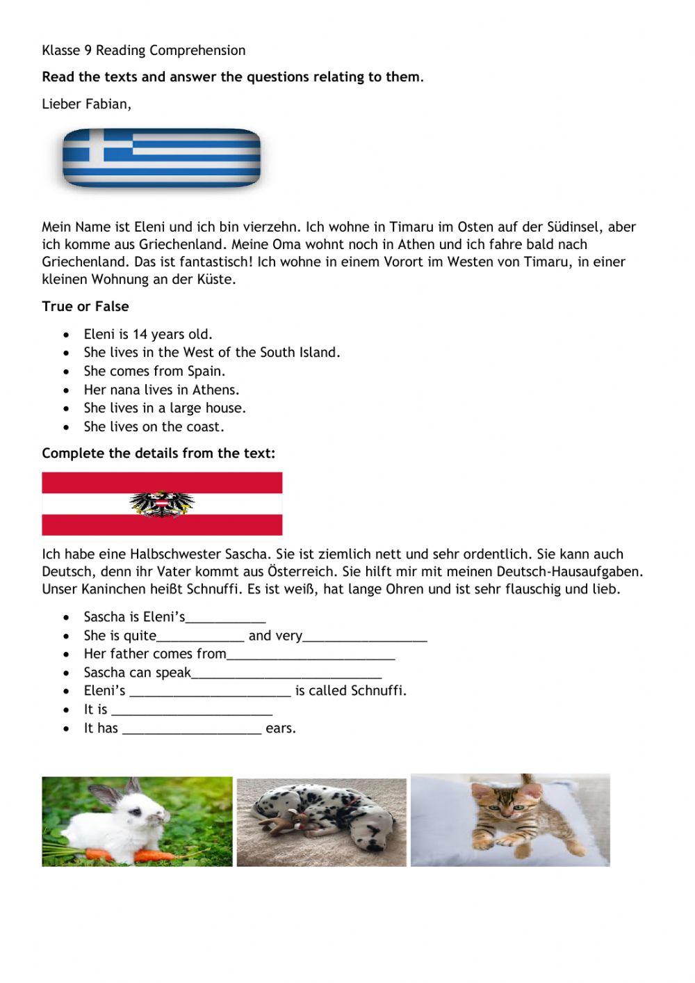 Klasse 9 End of term test