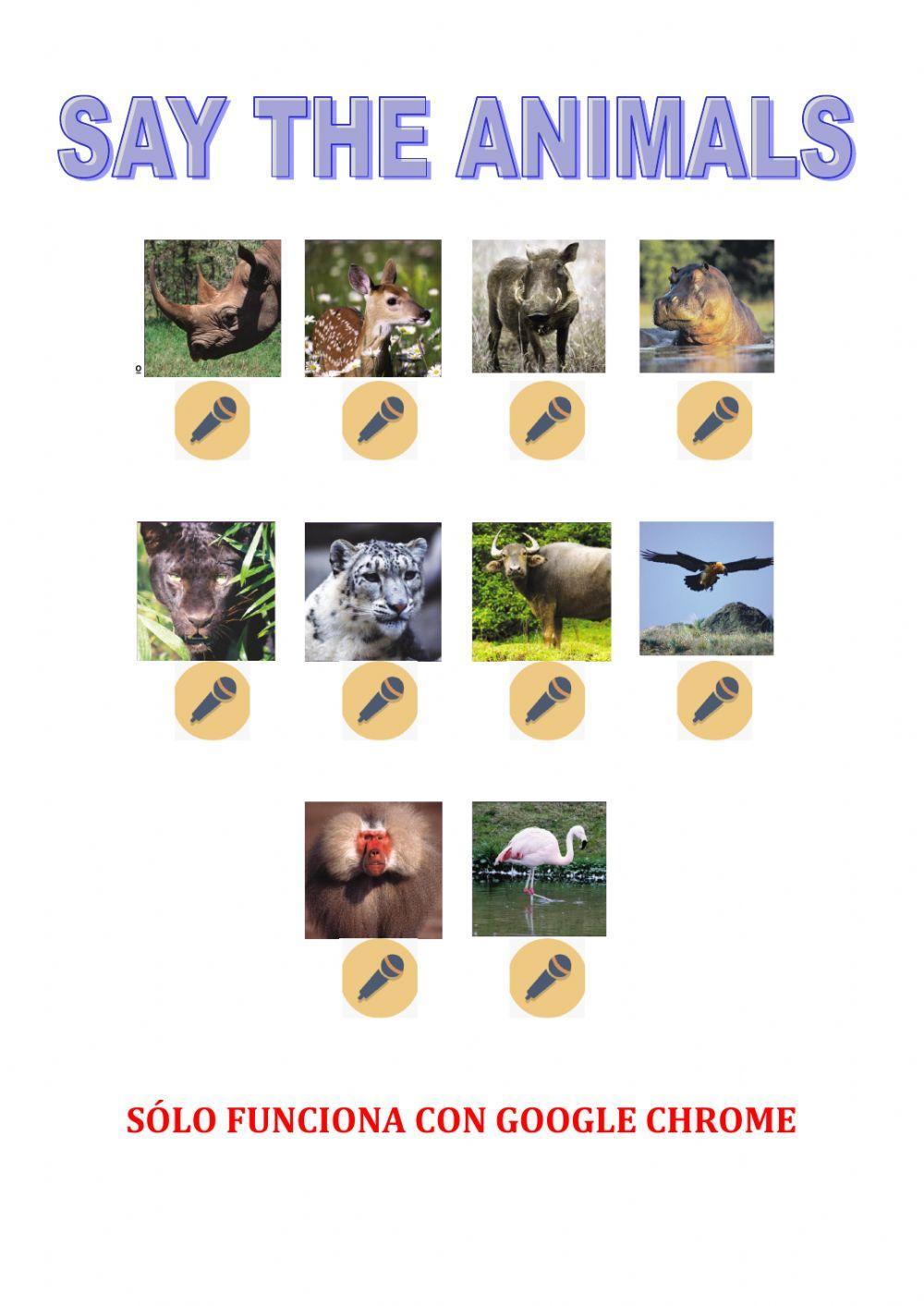 Say the animals tiger tracks 5 macmillan