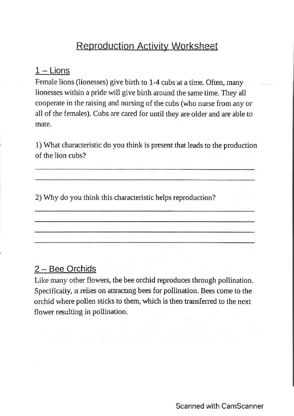 Plant and Animal Behavior scenarios