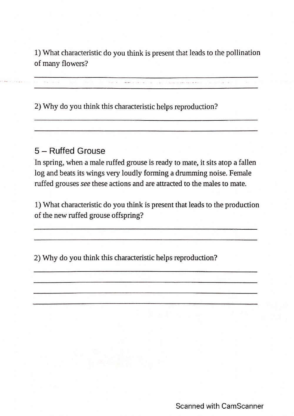 Plant and Animal Behavior scenarios
