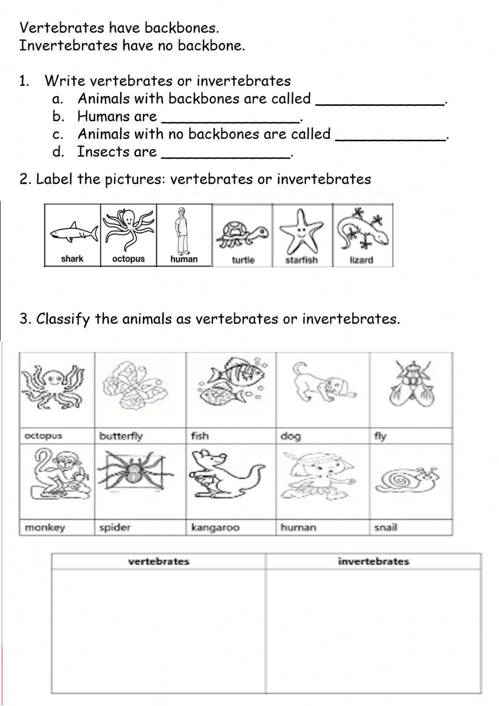 Vertebrates and Invertebrates online worksheet for 2nd | Live Worksheets Vertebrates and Invertebrates online worksheet for 2nd | Live Worksheets