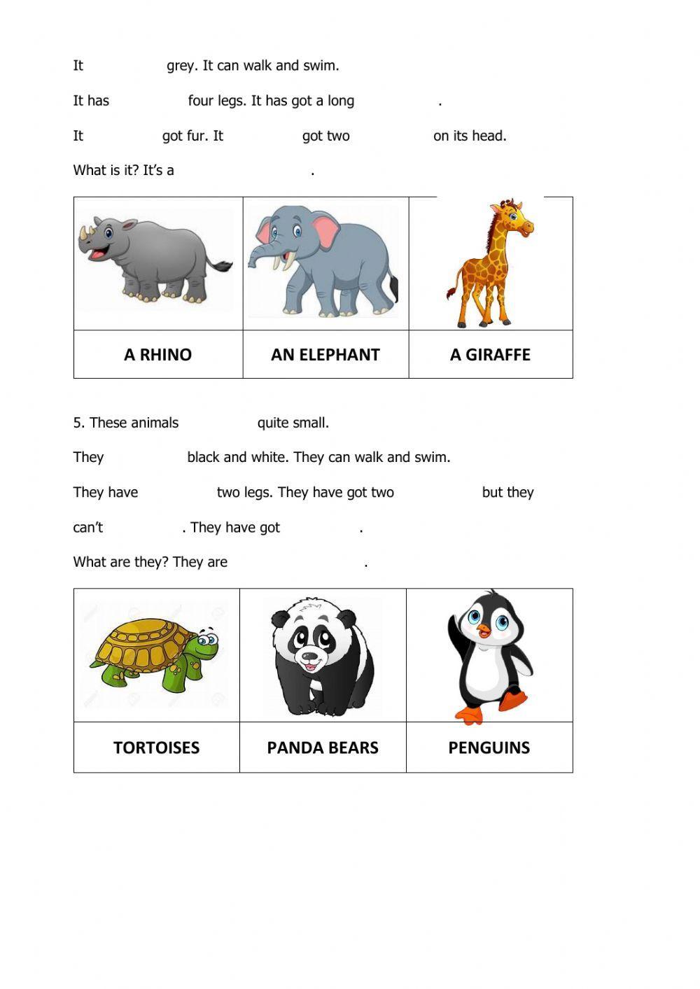 Riddles with animals