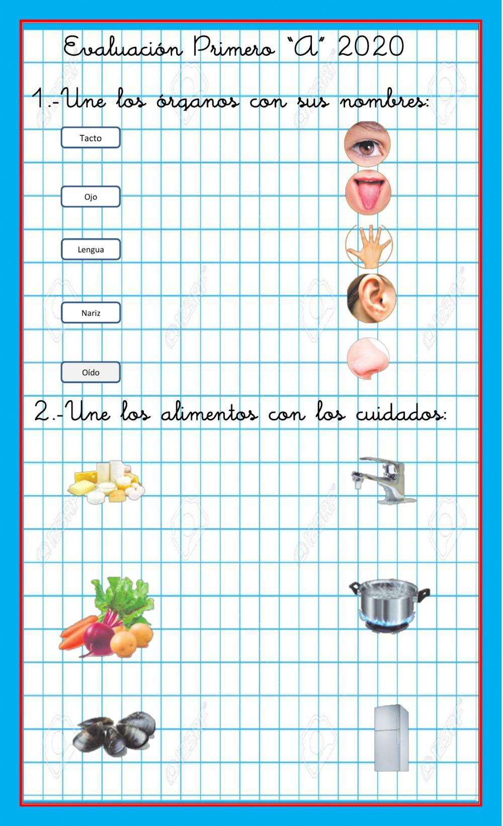 Evaluación de Ciencias