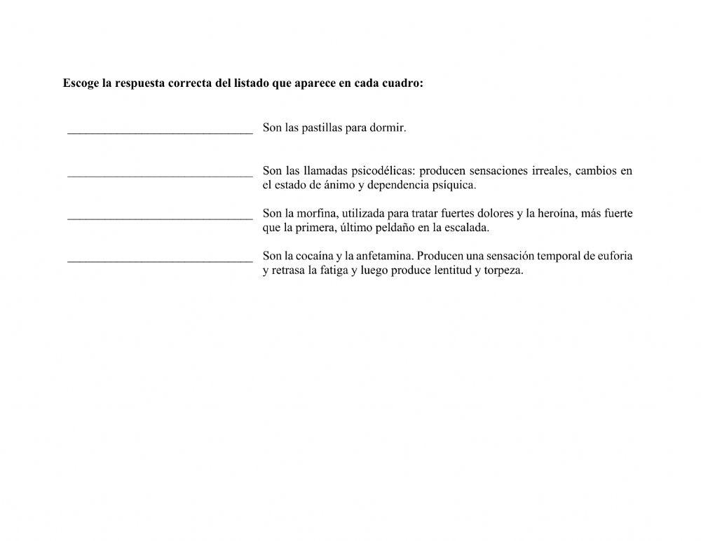 El Sistema Nervioso El Sistema Nervioso
