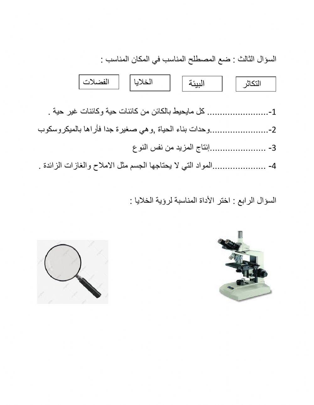 ورقة عمل على خصائص الكائنات الحي - وكيف نرى الخلايا