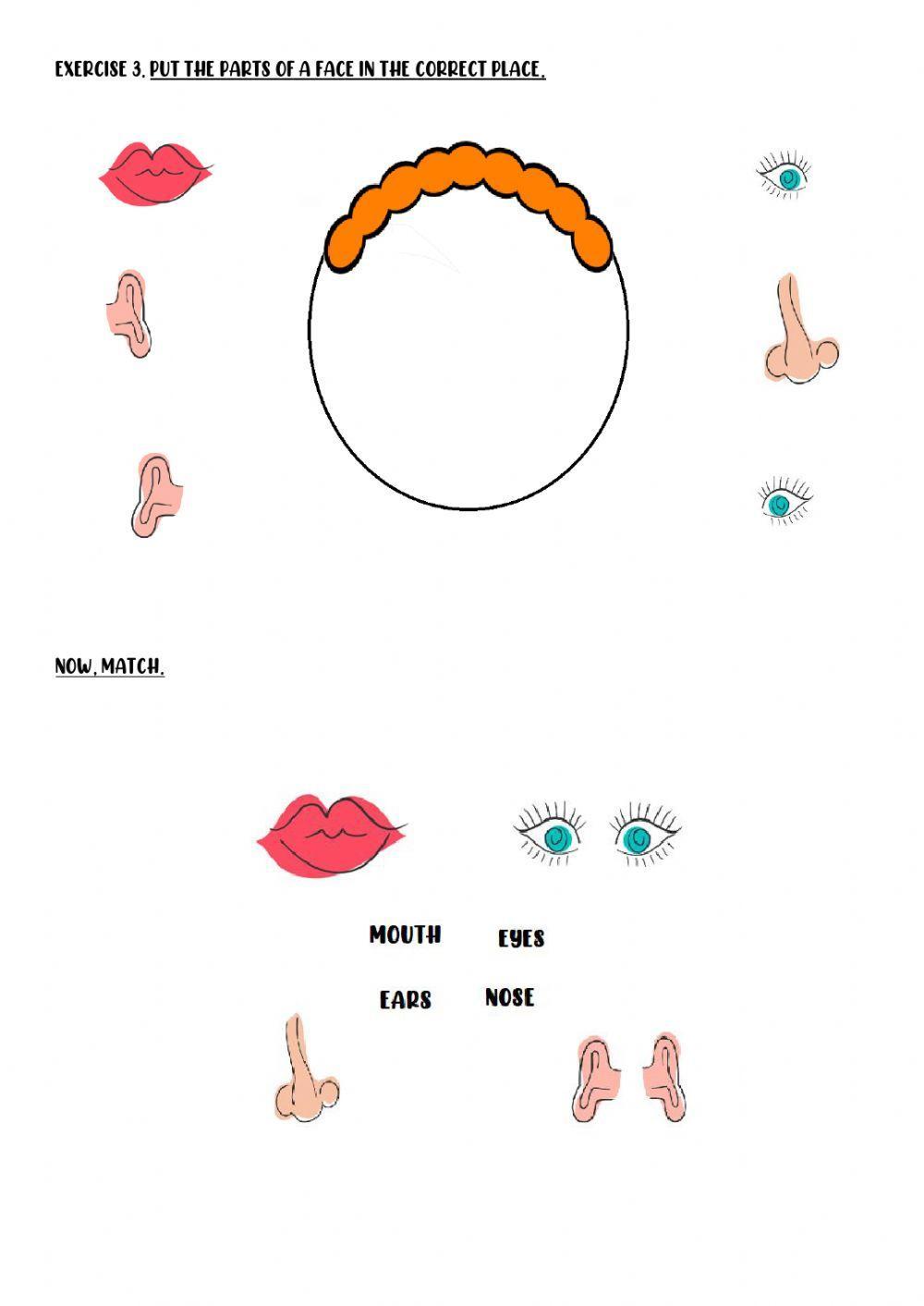 BODY PARTS practice 2