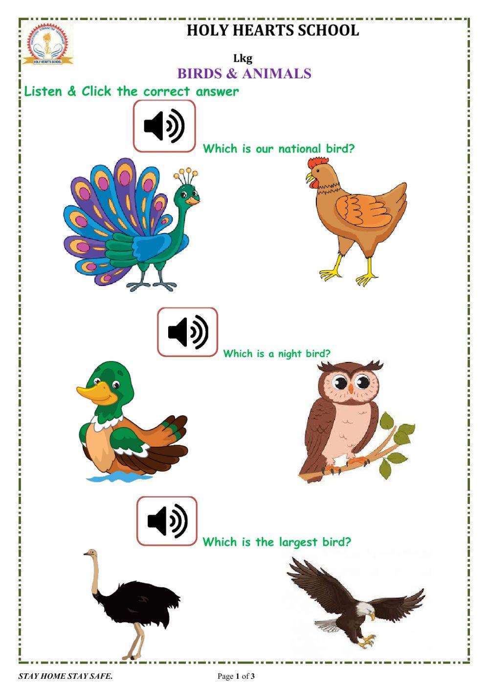 Lkg EVS Birds and Animals