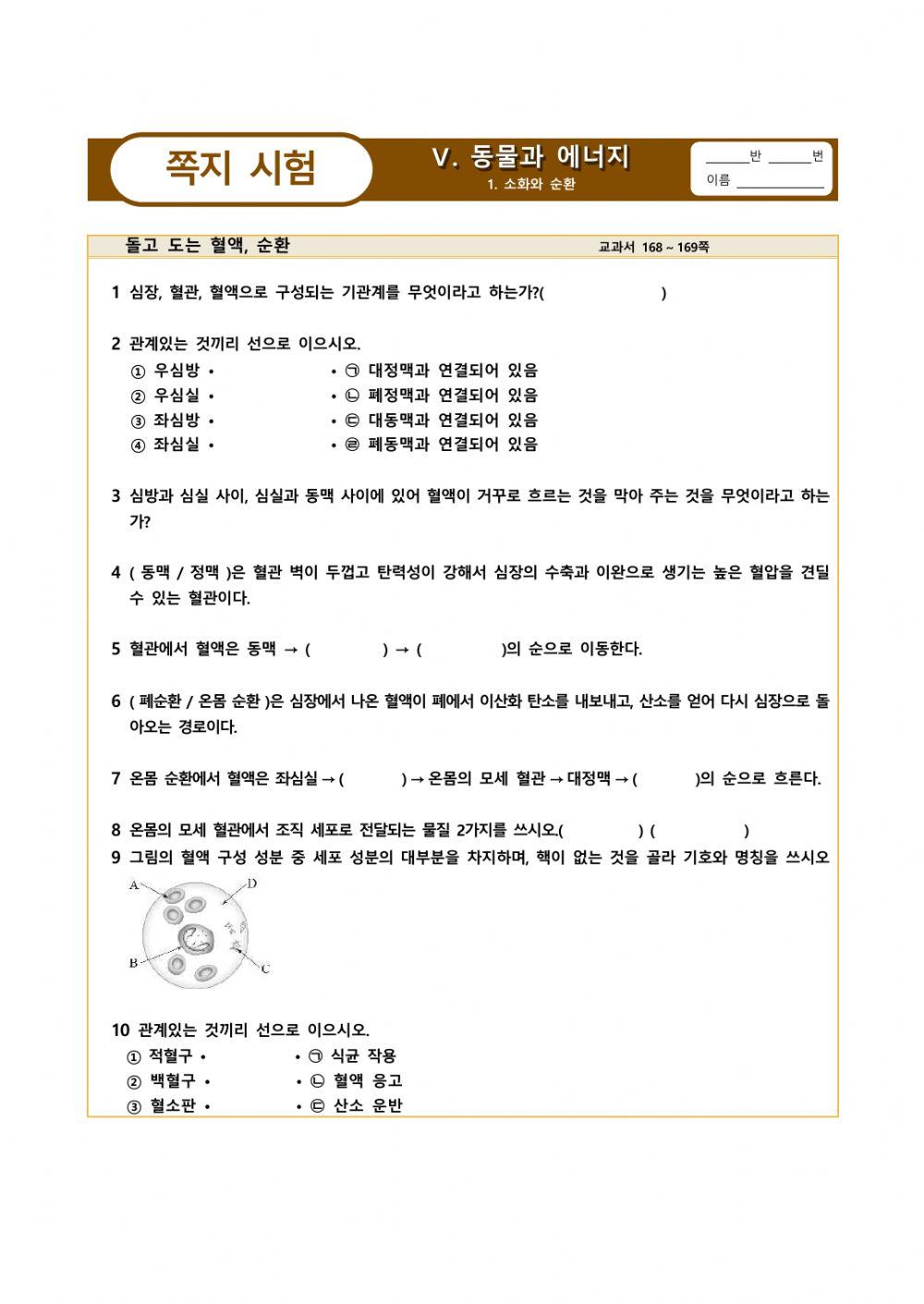 순환계 쪽지시험