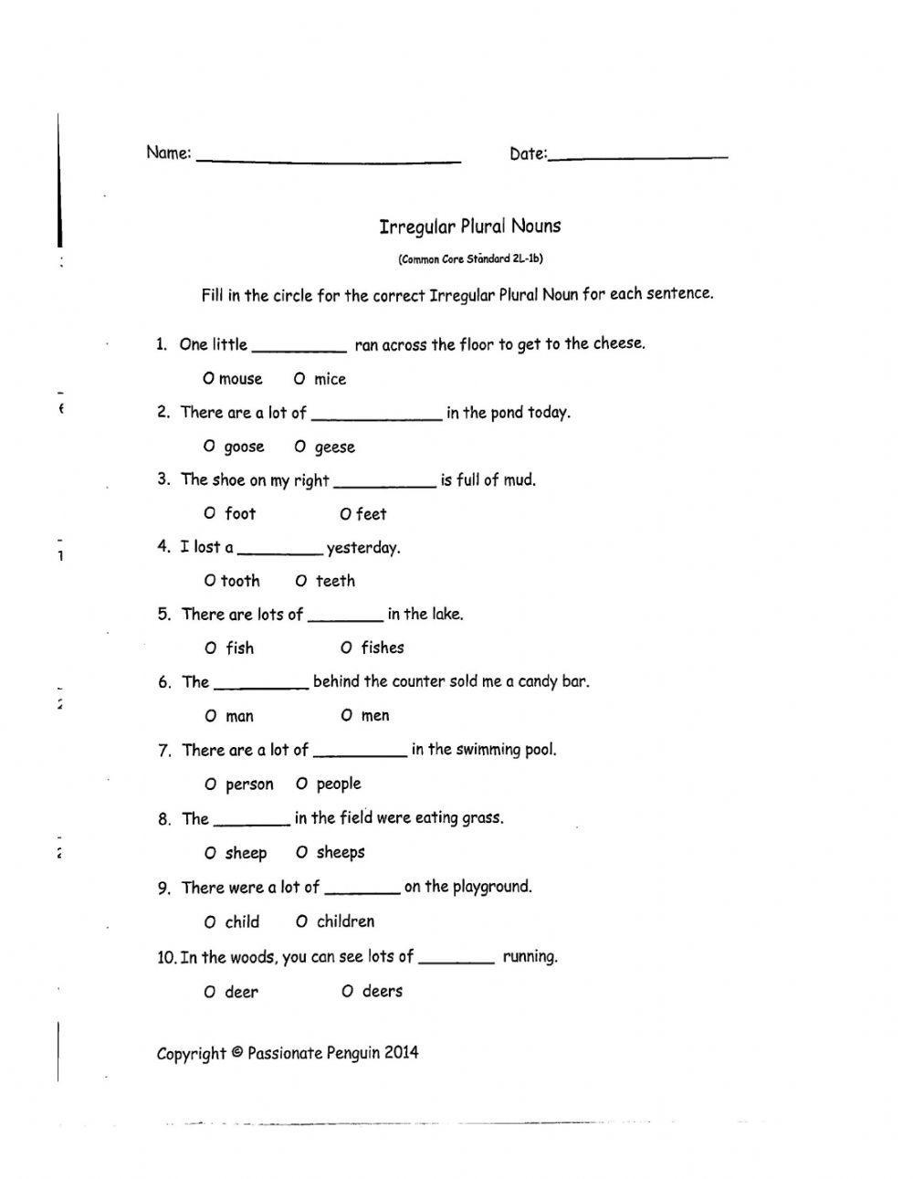 Irregular Plural Nouns