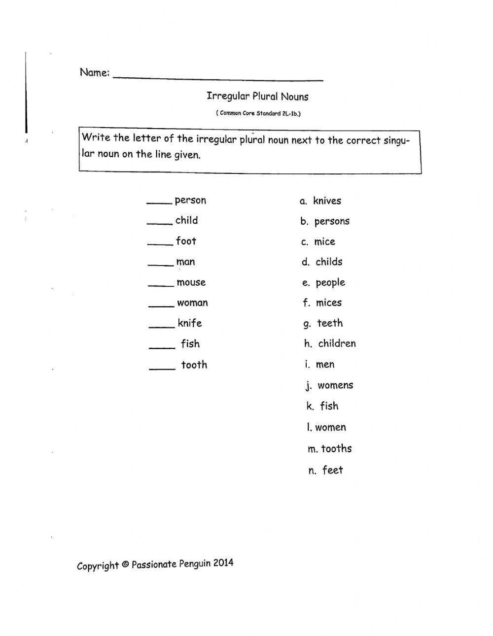 Irregular Plural Nouns