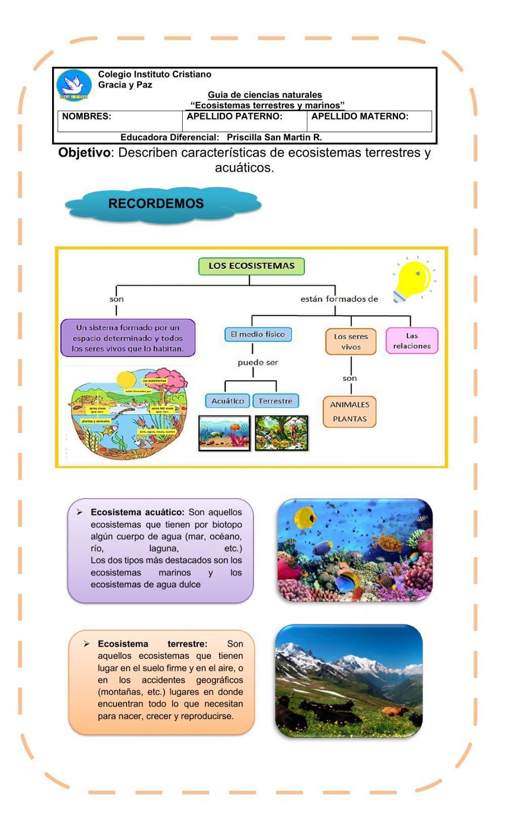 Guia de ciencias naturales ecosistema