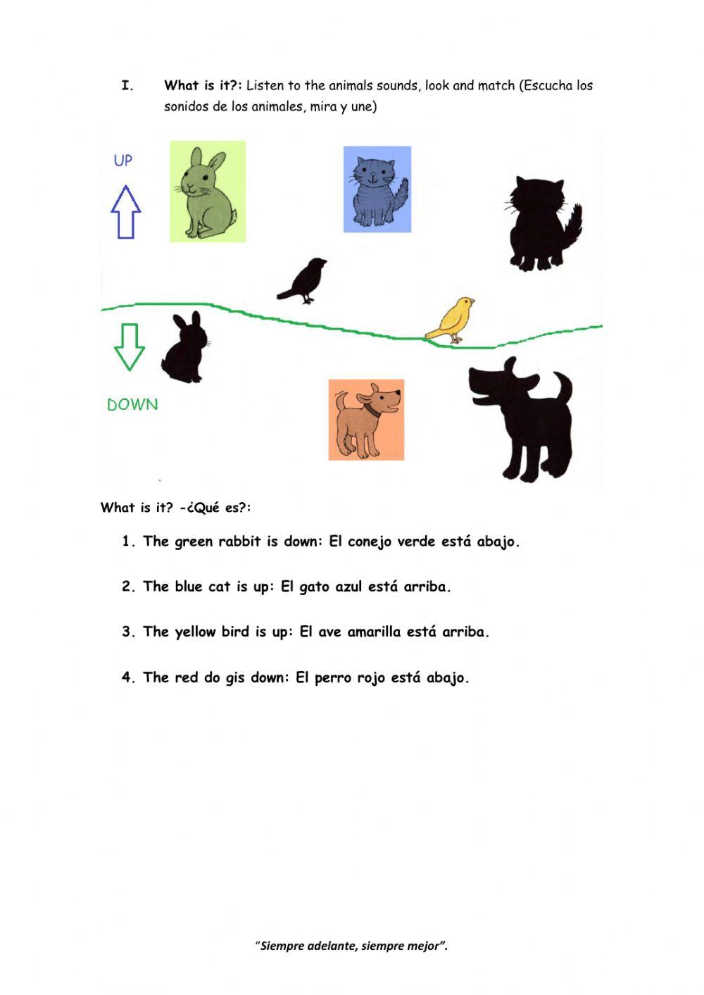 WORKSHEET -21 Where is it? for NT1