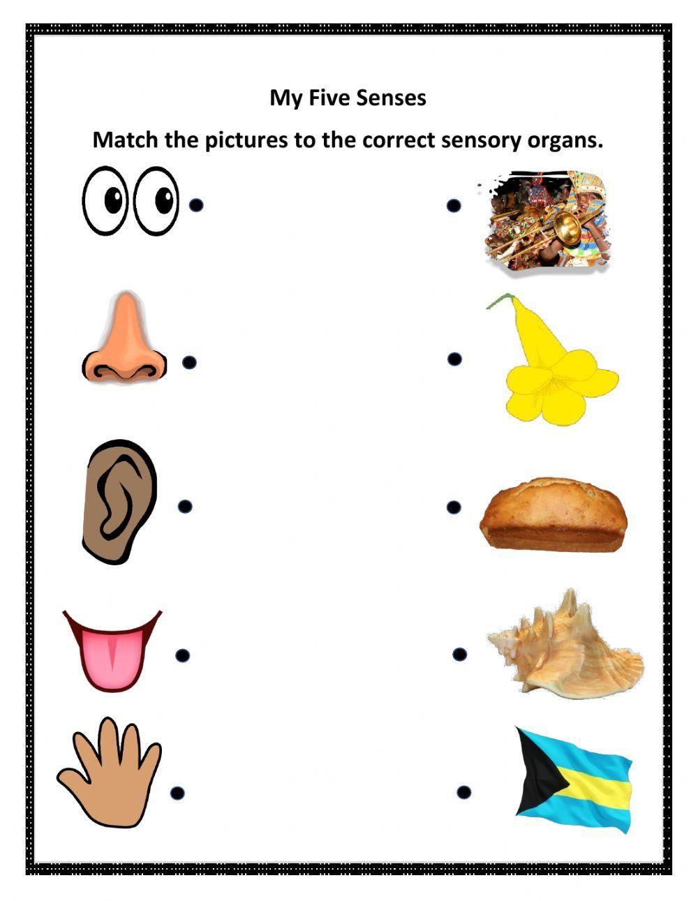 Five Senses Matching Worksheet