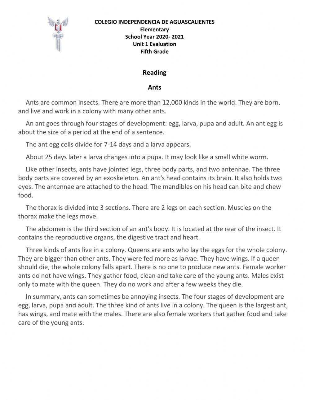 Reading Comprehension 5th