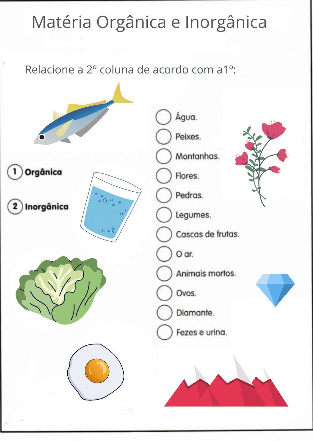 Matéria Orgânica e inorgânica