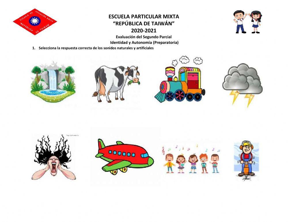 Evaluacion MEDIO NATURAL Y CULTURAL