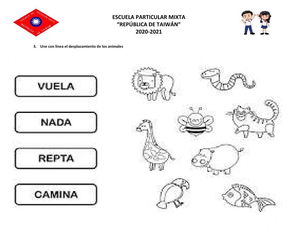 Evaluacion MEDIO NATURAL Y CULTURAL