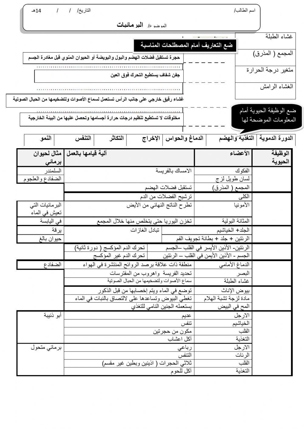 ورقة 4تفاعلية2