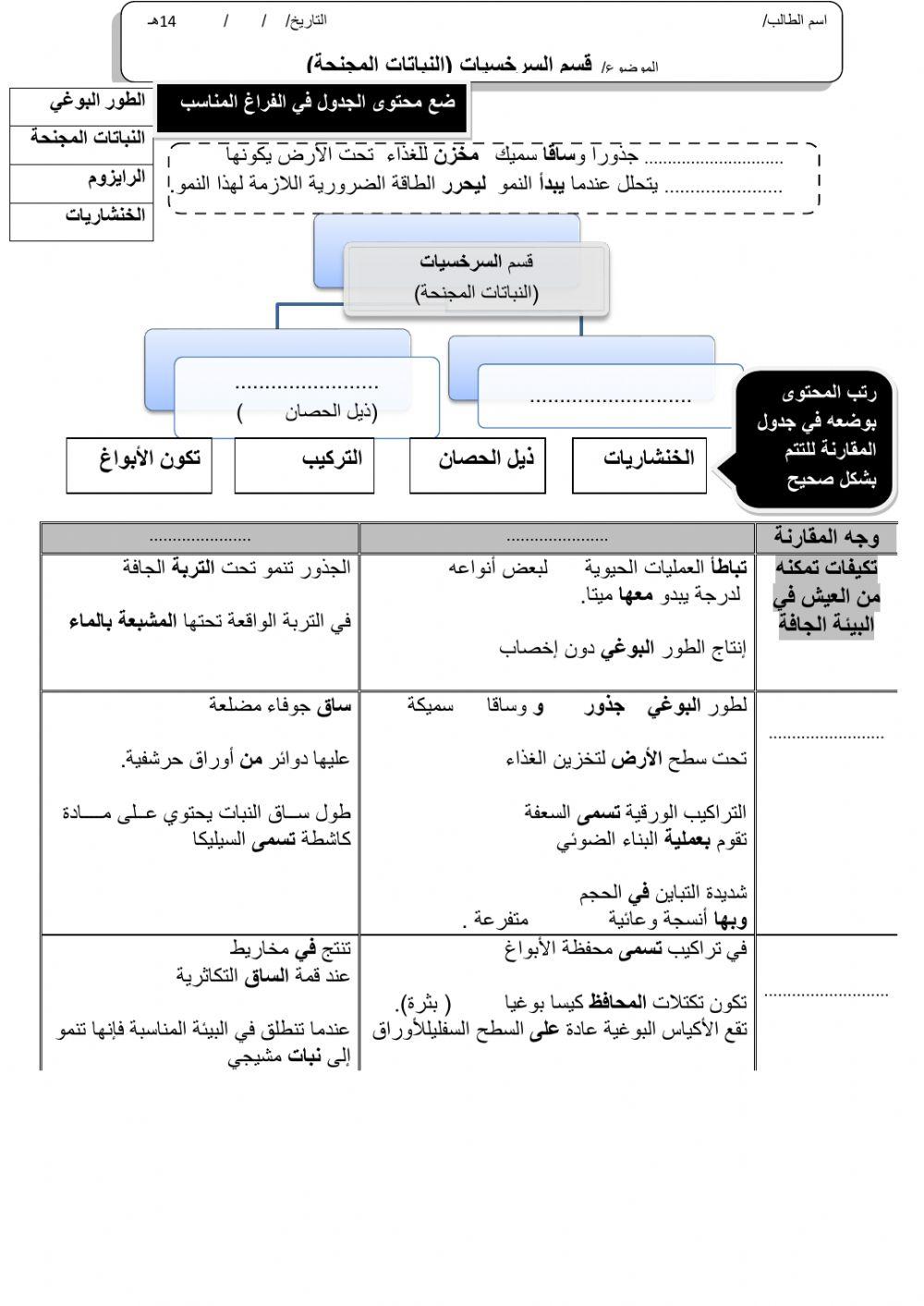 ورقة 4تفاعلية3