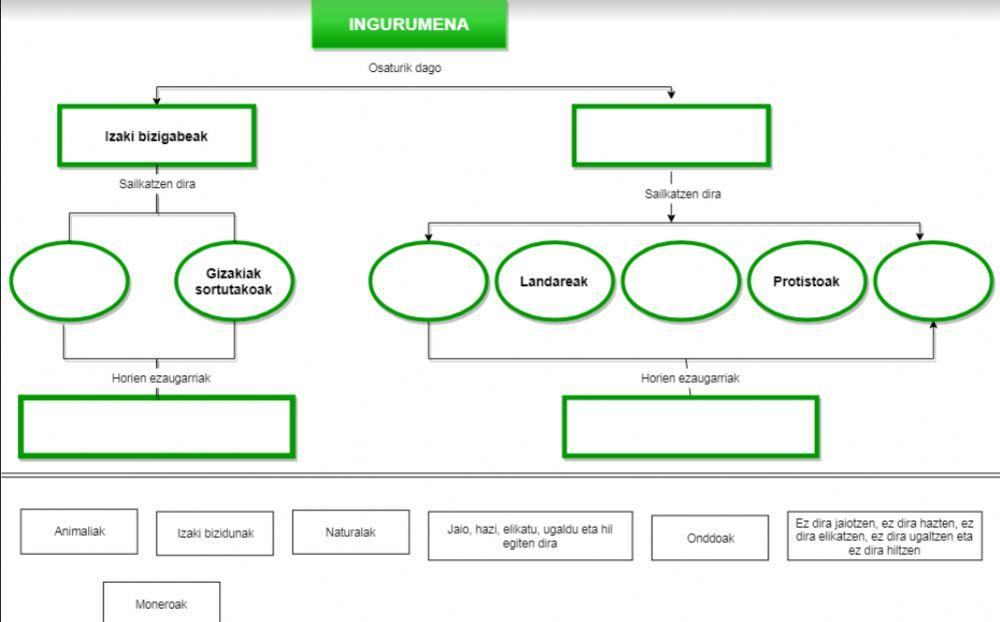 Ingurumena: Kontzeptu mapa