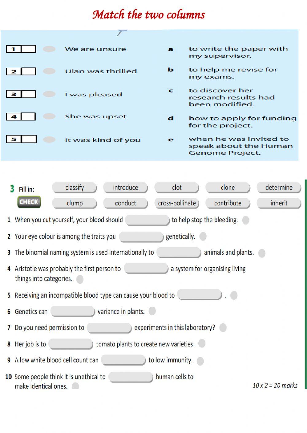 Action 11 Progress Check. Made by Zhanar Habibullina